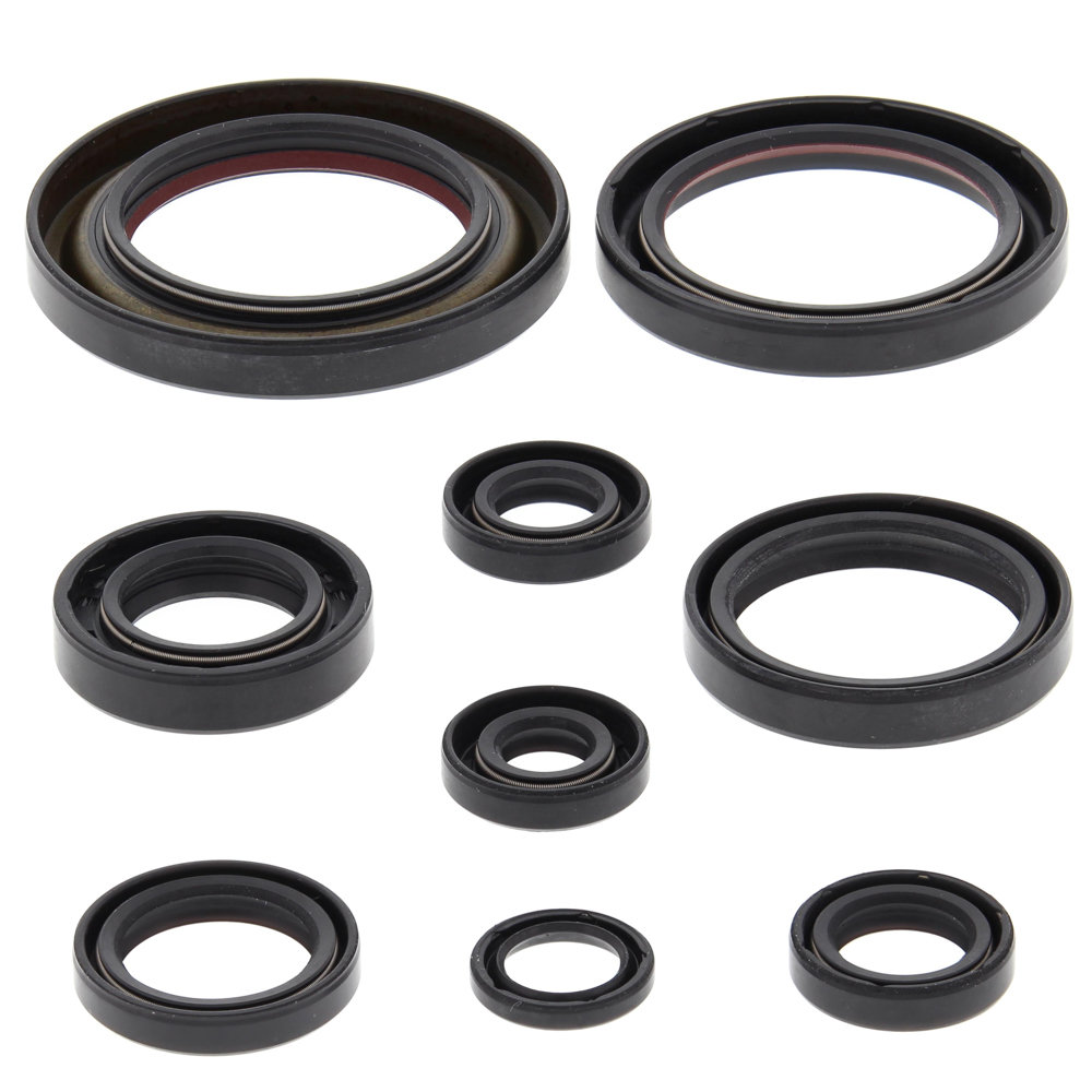 New Engine Oil Seal Kit Honda Trx450R 450Cc 2006 2007 2008 2009 58844 0 new engine oil seal kit honda trx450r 450cc 2006 2007 2008 2009 58844 0 - Denparts